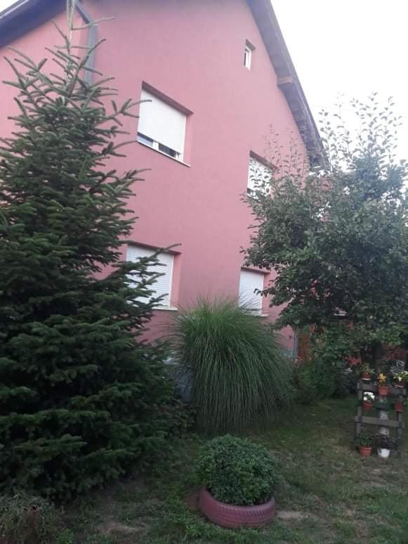 Apartman Drina Berilovac Екстериор снимка